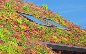 Middlesceugh living roof systems